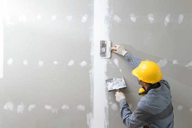 Best Black Mold Removal  in Buckeye Lake, OH