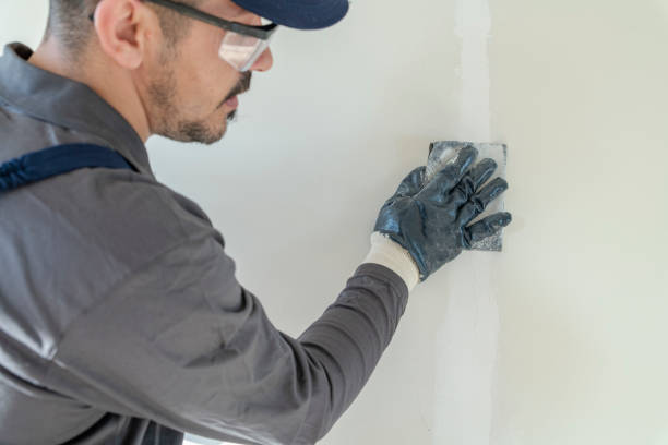 Best Mold Damage Restoration  in Buckeye Lake, OH