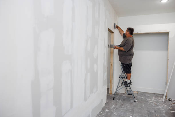 Best Attic Mold Removal  in Buckeye Lake, OH
