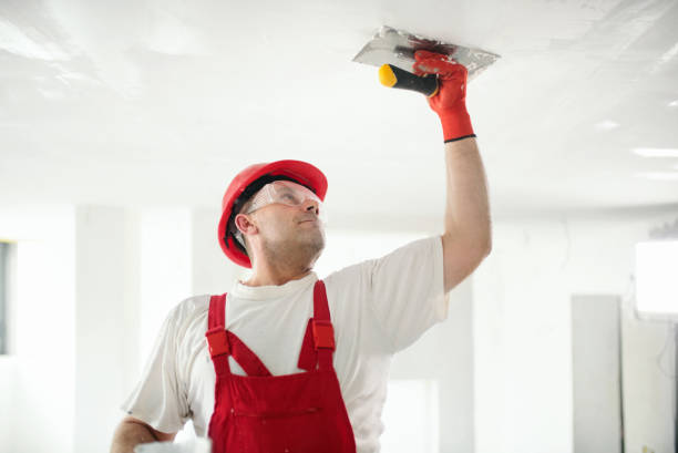 Best Real Estate Mold Inspection  in Buckeye Lake, OH