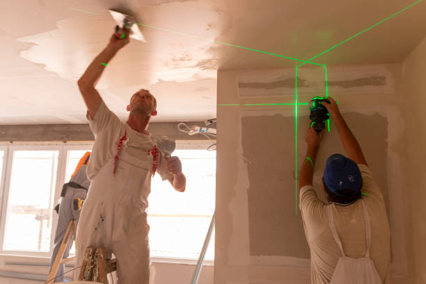Best Basement Mold Removal  in Buckeye Lake, OH