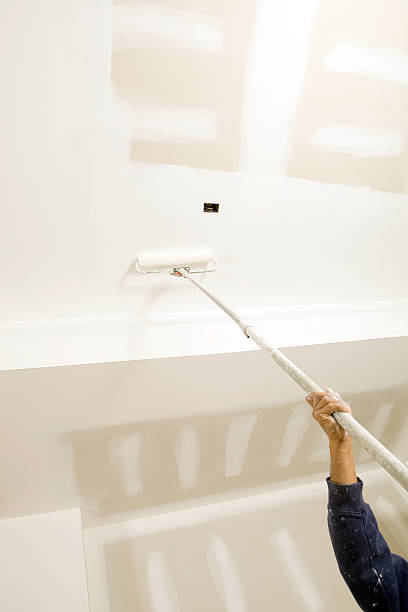 Best Mold Documentation for Insurance Claims  in Buckeye Lake, OH